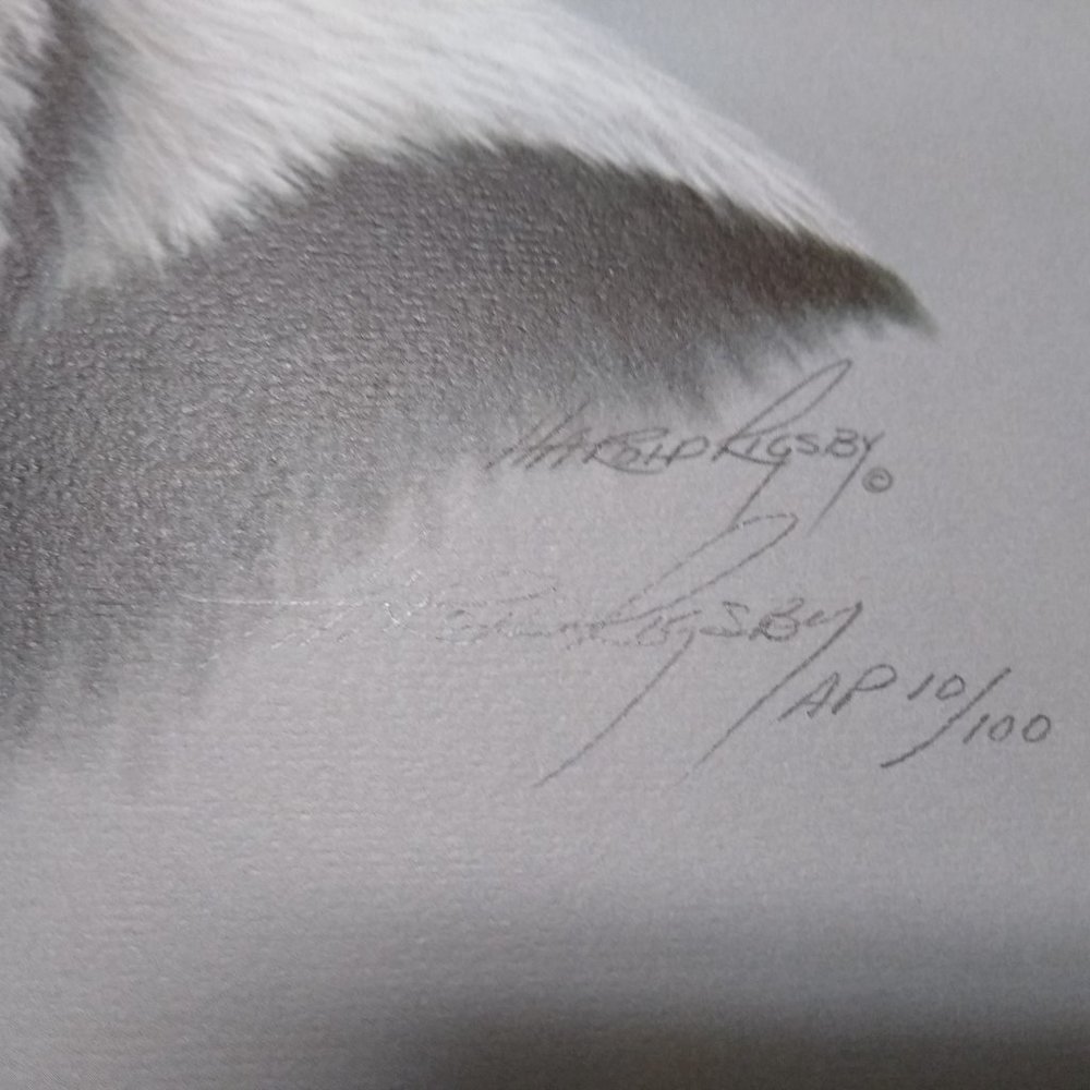 Panda II AP 10/100 by Harold Rigsby Signed - Picture 8 of 9